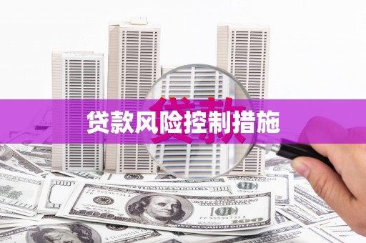 京口贷款风险控制措施