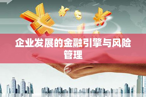 京口企业发展的金融引擎与风险管理