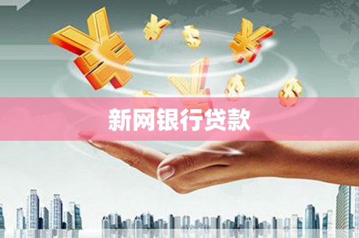 京口新网银行贷款