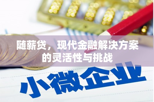 京口随薪贷，现代金融解决方案的灵活性与挑战