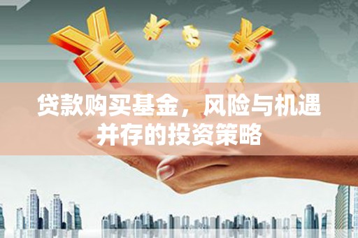 京口贷款购买基金，风险与机遇并存的投资策略
