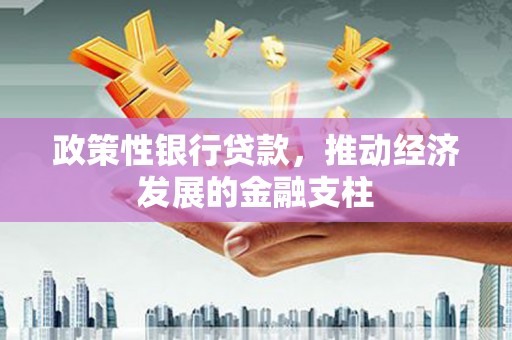 京口政策性银行贷款，推动经济发展的金融支柱
