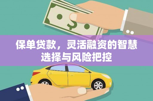 京口保单贷款，灵活融资的智慧选择与风险把控