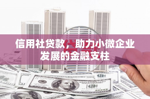 京口信用社贷款，助力小微企业发展的金融支柱