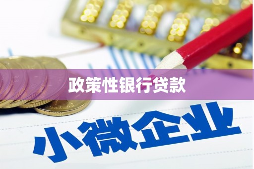 京口政策性银行贷款