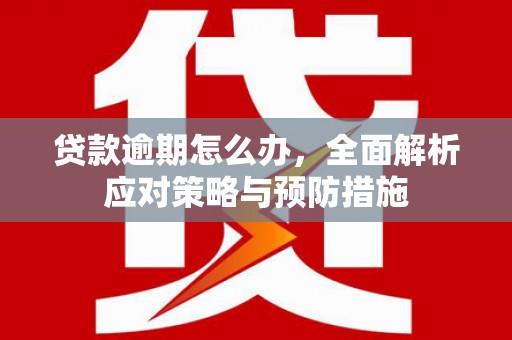 京口贷款逾期怎么办，全面解析应对策略与预防措施
