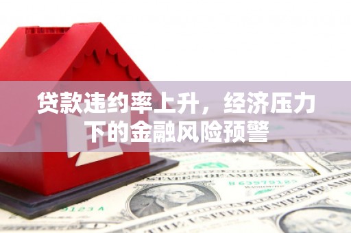 京口贷款违约率上升，经济压力下的金融风险预警