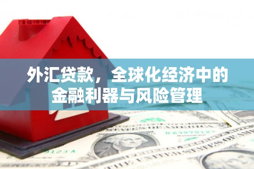 京口外汇贷款，全球化经济中的金融利器与风险管理