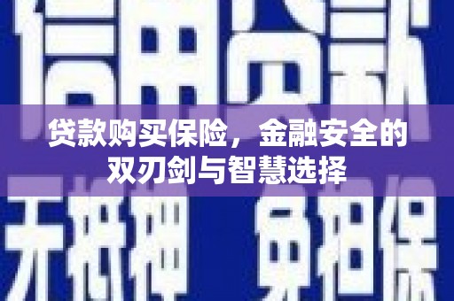 京口贷款购买保险，金融安全的双刃剑与智慧选择