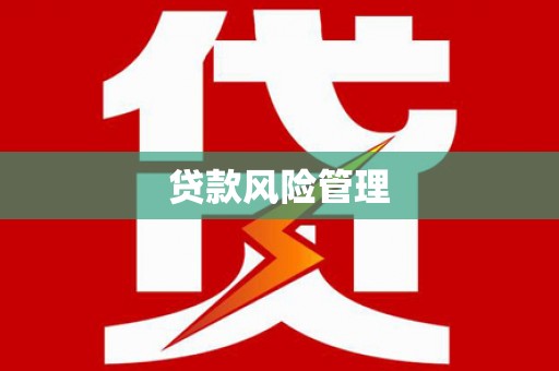 京口贷款风险管理
