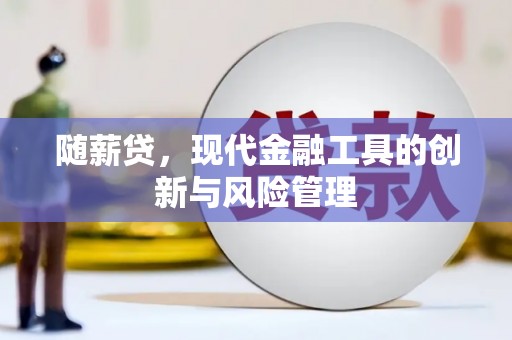 京口随薪贷，现代金融工具的创新与风险管理