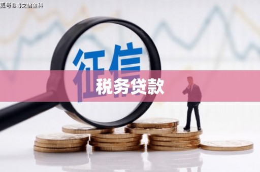京口税务贷款