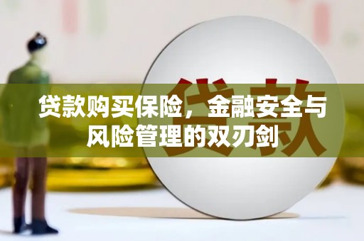 京口贷款购买保险，金融安全与风险管理的双刃剑