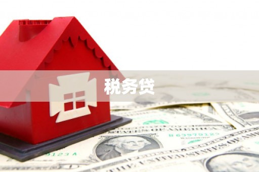 京口税务贷