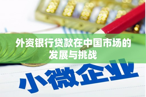 京口外资银行贷款在中国市场的发展与挑战