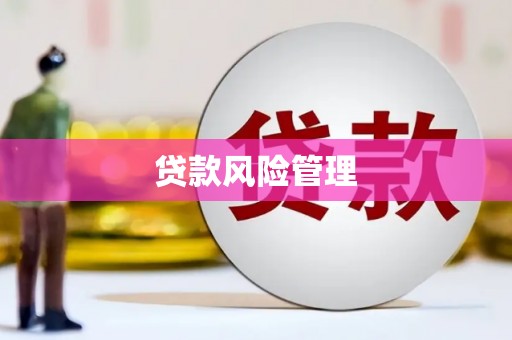 京口贷款风险管理