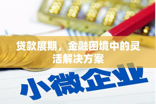 京口贷款展期，金融困境中的灵活解决方案