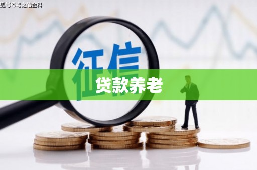 京口贷款养老