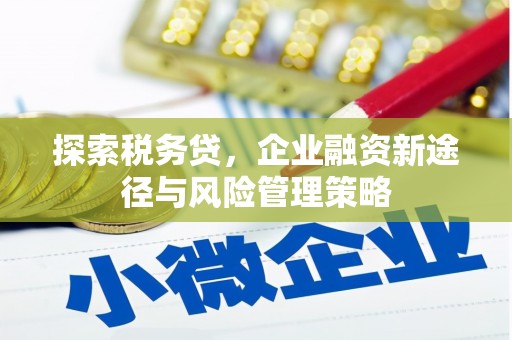 京口探索税务贷，企业融资新途径与风险管理策略