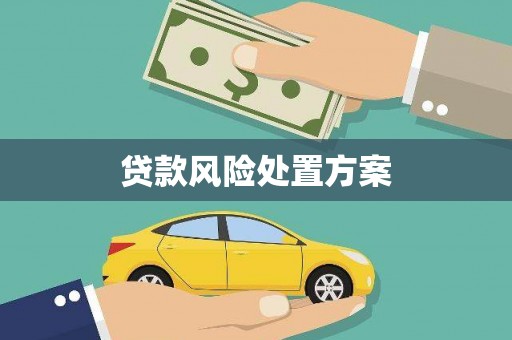 京口贷款风险处置方案