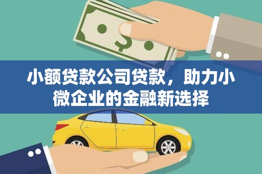 京口小额贷款公司贷款，助力小微企业的金融新选择