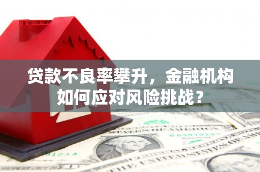 京口贷款不良率攀升，金融机构如何应对风险挑战？