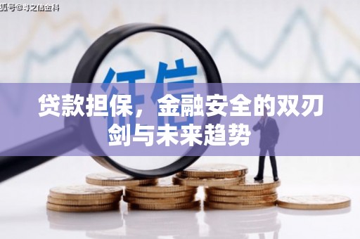 京口贷款担保，金融安全的双刃剑与未来趋势