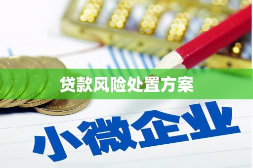 京口贷款风险处置方案