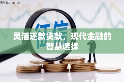 京口灵活还款贷款，现代金融的智慧选择