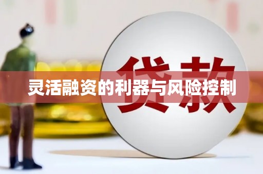 京口灵活融资的利器与风险控制