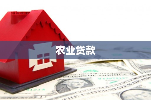 京口农业贷款