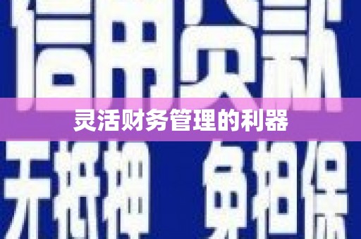 京口灵活财务管理的利器