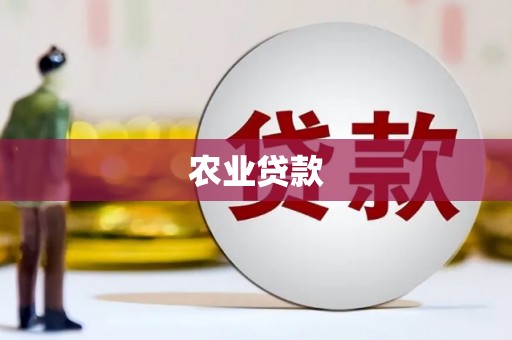 京口农业贷款