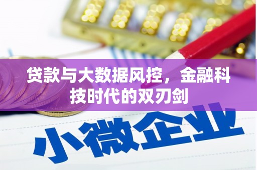 京口贷款与大数据风控，金融科技时代的双刃剑