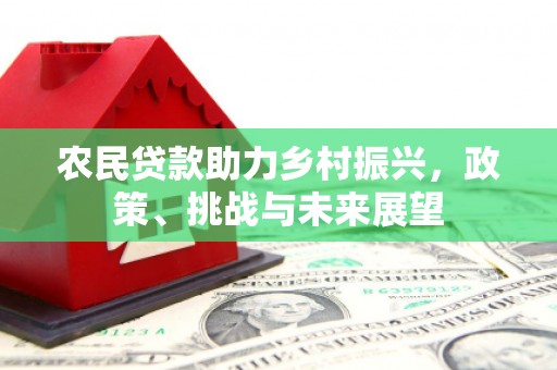 京口农民贷款助力乡村振兴，政策、挑战与未来展望
