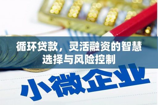 京口循环贷款，灵活融资的智慧选择与风险控制