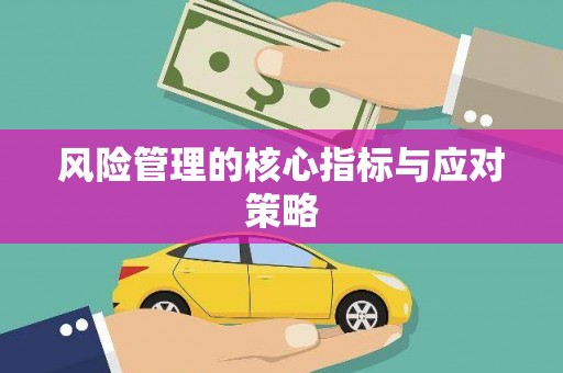 京口风险管理的核心指标与应对策略