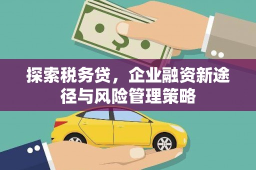 京口探索税务贷，企业融资新途径与风险管理策略