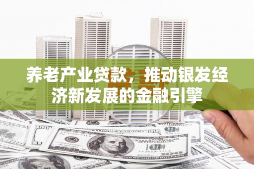 京口养老产业贷款，推动银发经济新发展的金融引擎