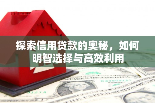 京口探索信用贷款的奥秘，如何明智选择与高效利用