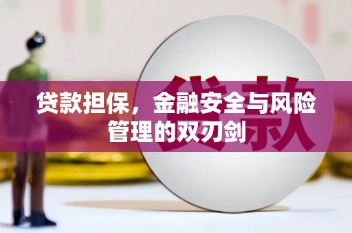 京口贷款担保，金融安全与风险管理的双刃剑