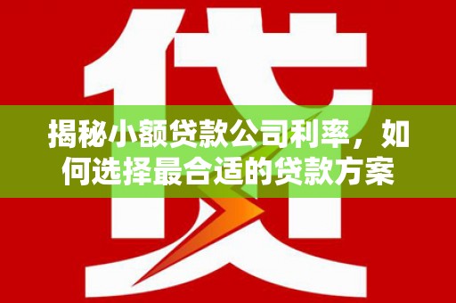 京口揭秘小额贷款公司利率，如何选择最合适的贷款方案