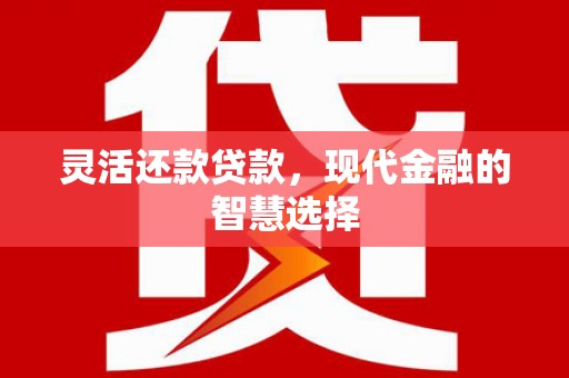 京口灵活还款贷款，现代金融的智慧选择