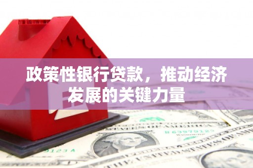 京口政策性银行贷款，推动经济发展的关键力量