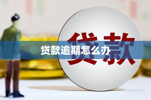 京口贷款逾期怎么办