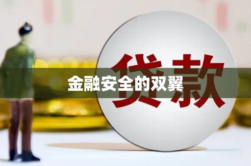 京口金融安全的双翼
