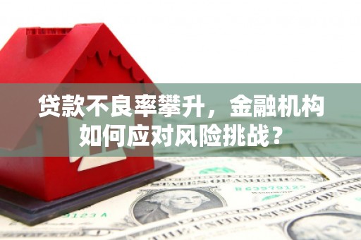 京口贷款不良率攀升，金融机构如何应对风险挑战？