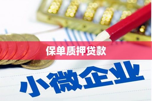 京口保单质押贷款