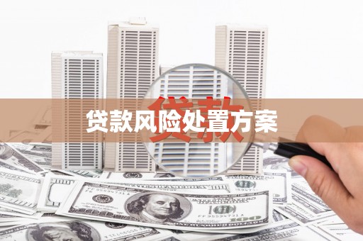 京口贷款风险处置方案