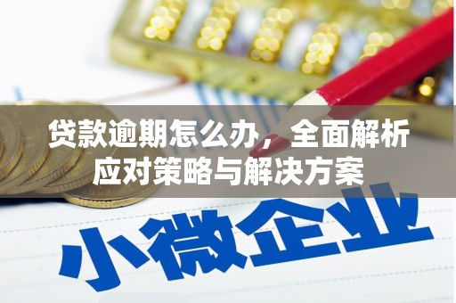 京口贷款逾期怎么办，全面解析应对策略与解决方案